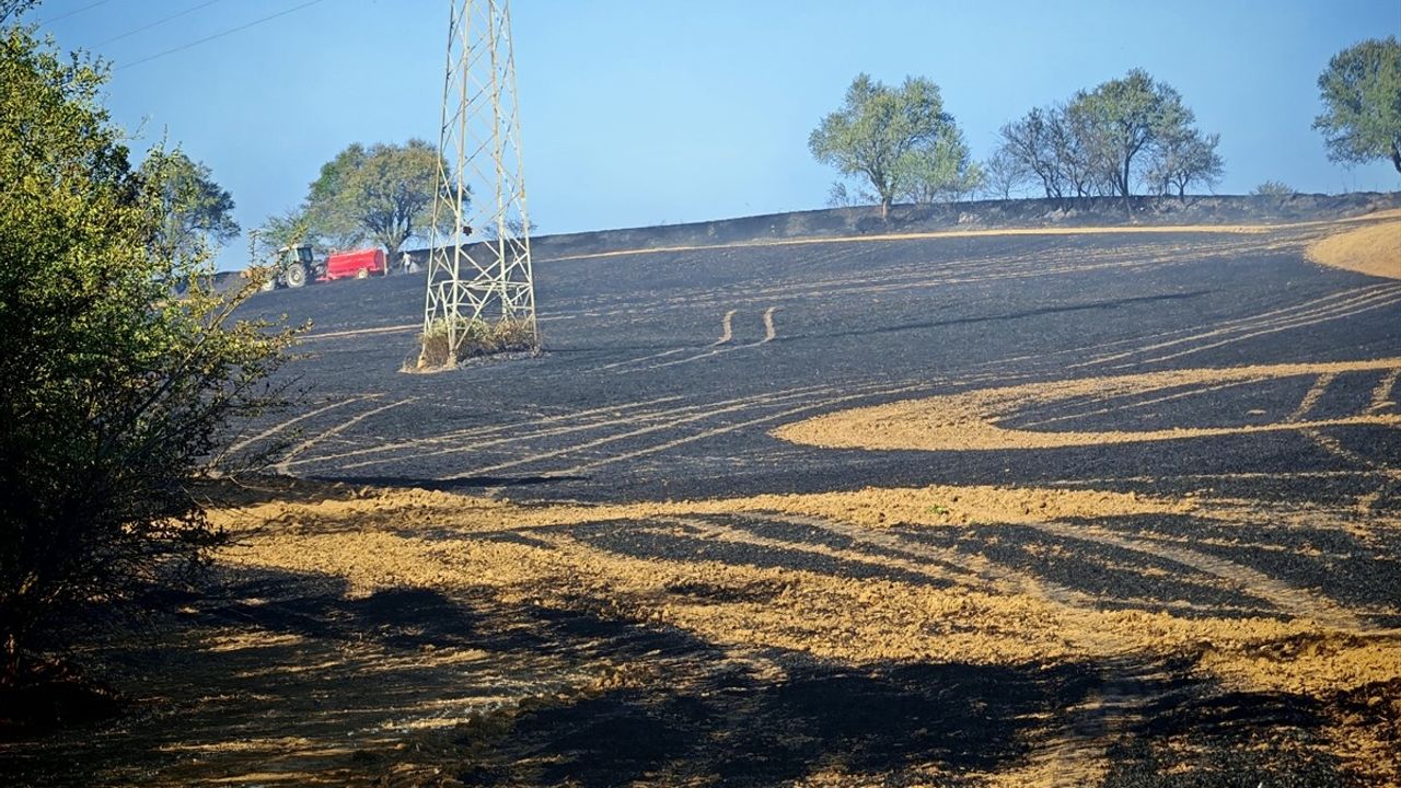 Tekirdağ'da 200 Dekar Buğday Alanı Yangında Zarar Gördü