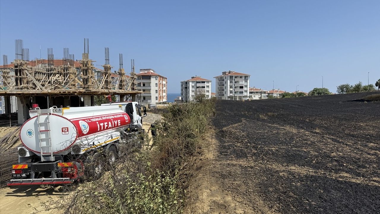 Tekirdağ'da 30 Dekar Buğday Alanı Yangında Zarar Gördü