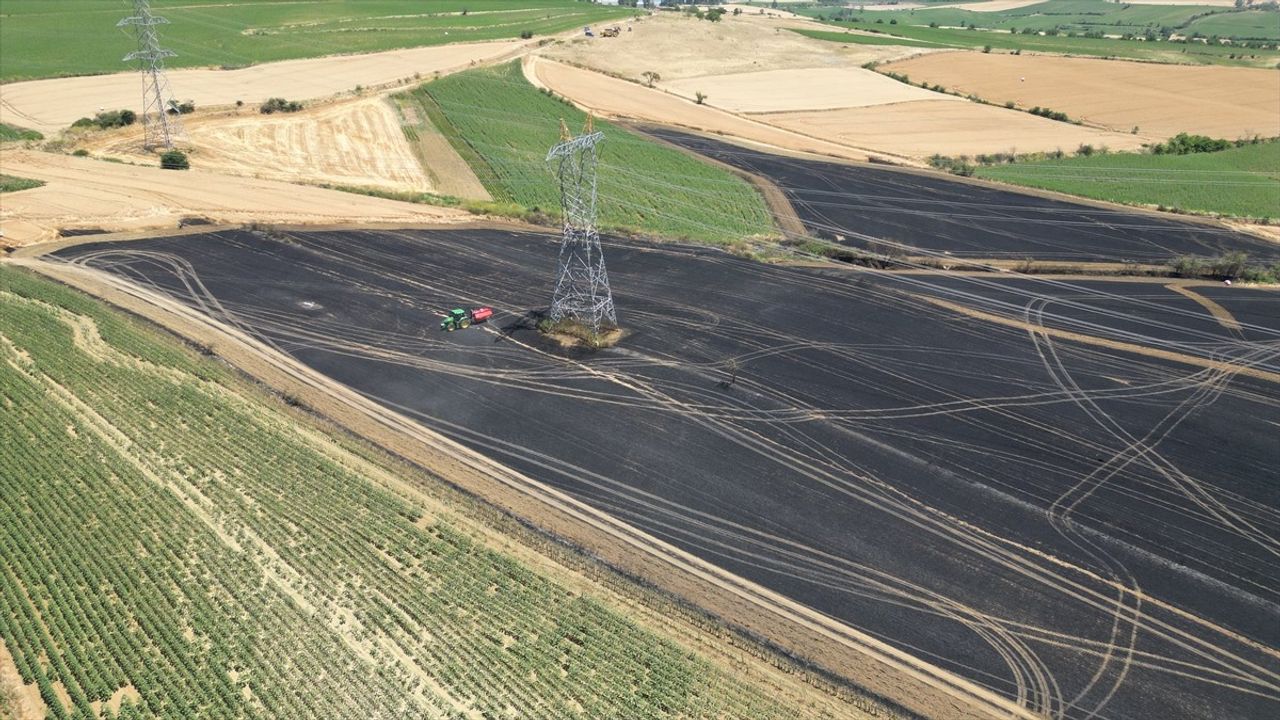 Tekirdağ'da 340 Dekar Buğday Alanı Yangında Zarar Gördü