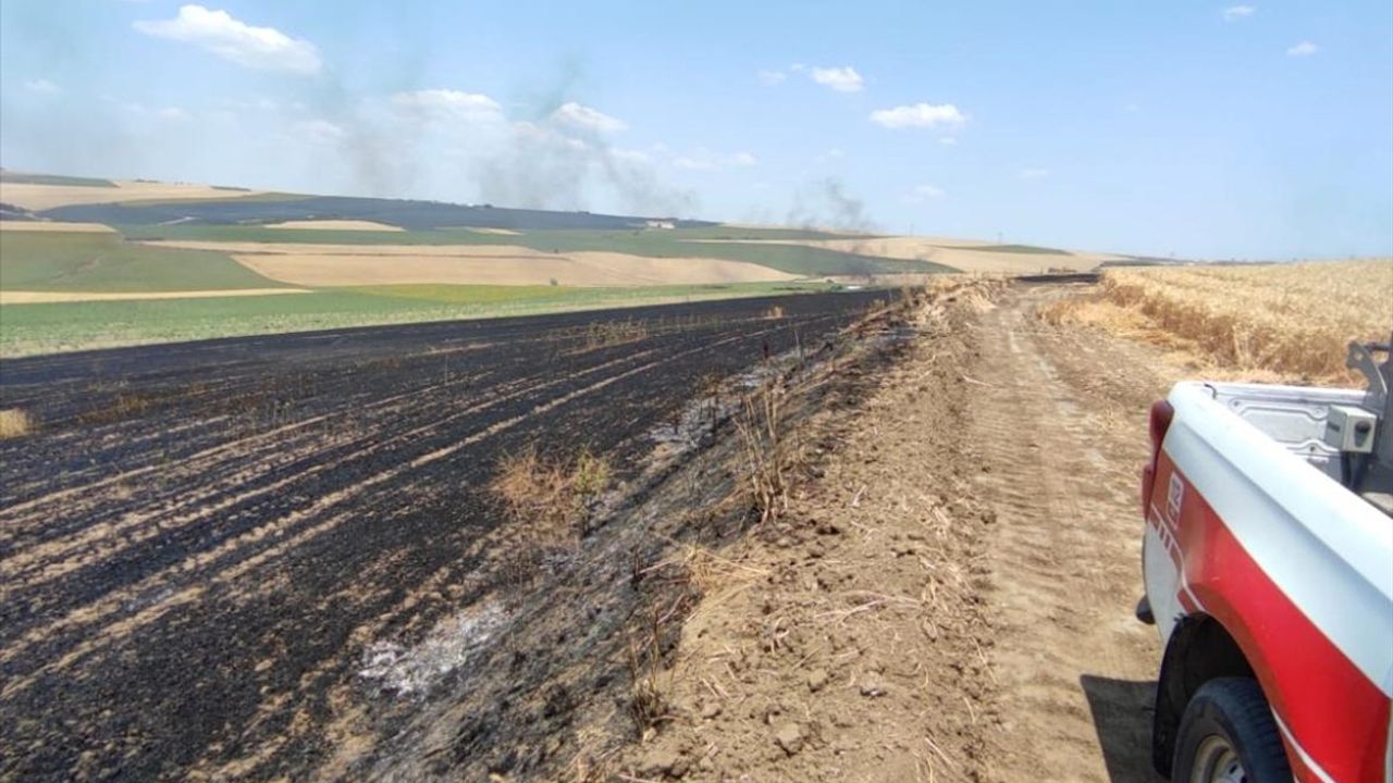 Tekirdağ'da Çıkan Yangında 70 Dönüm Buğday Tarlası Zarar Gördü