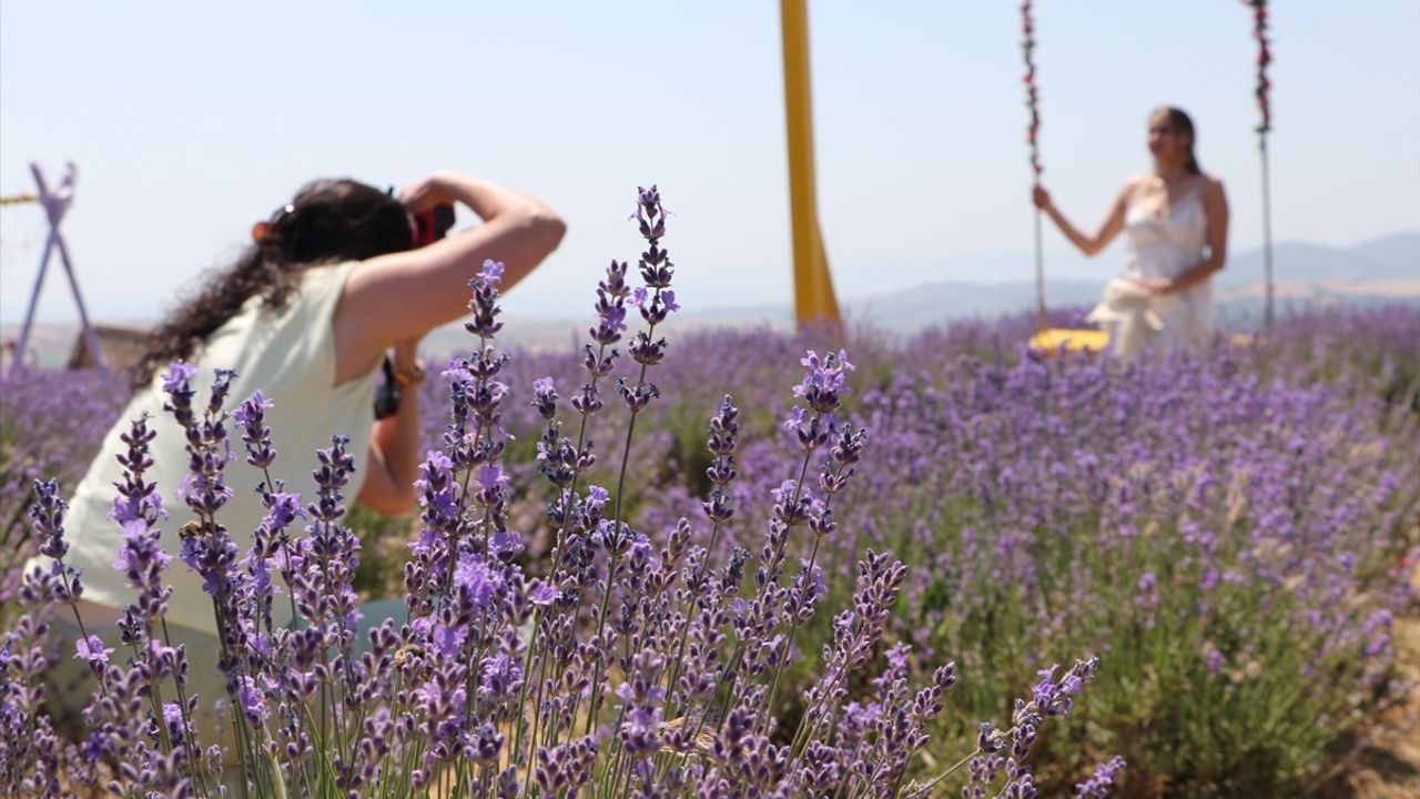 Tekirdağ'da Lavanta Tarlaları Fotoğraf Tutkunlarını Ağırlıyor