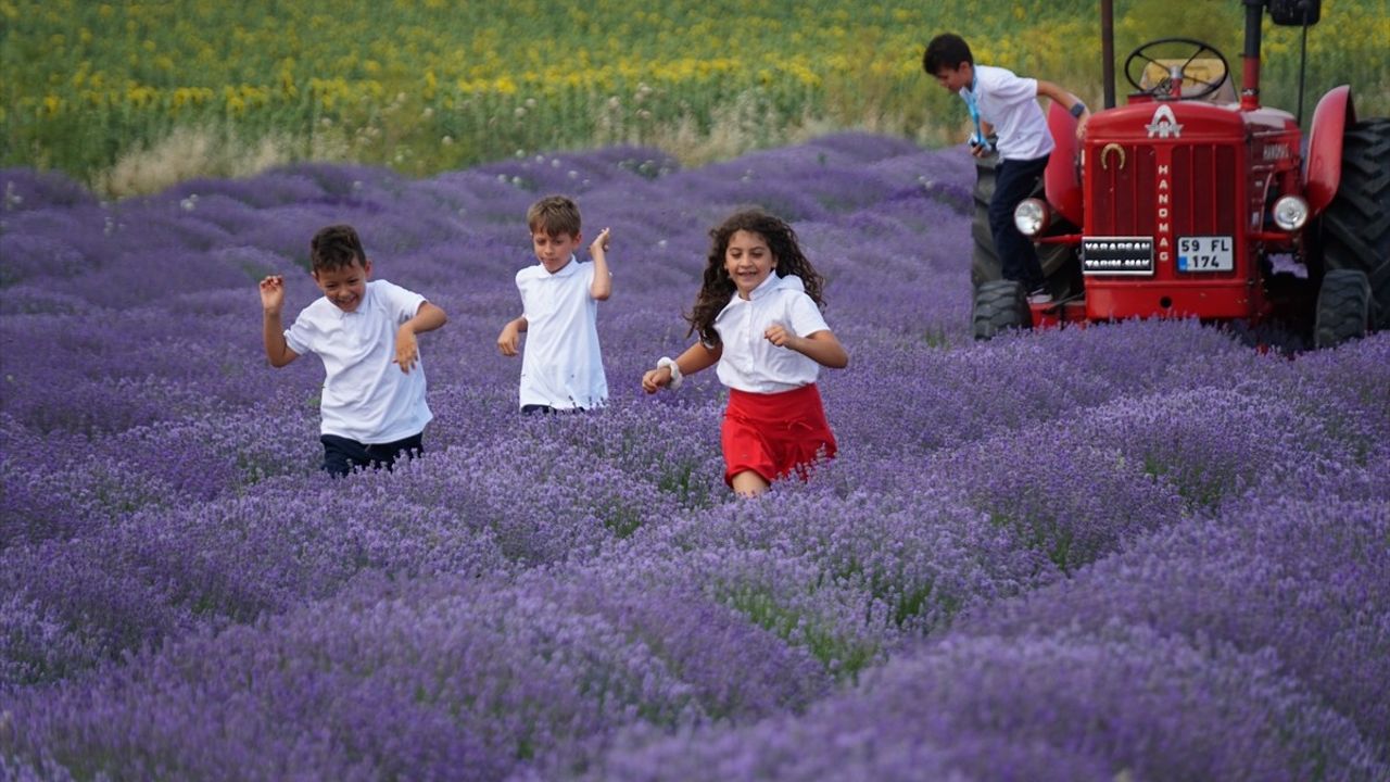 Tekirdağ'da Öğrenciler Lavanta Tarlasında Karnelerini Aldı