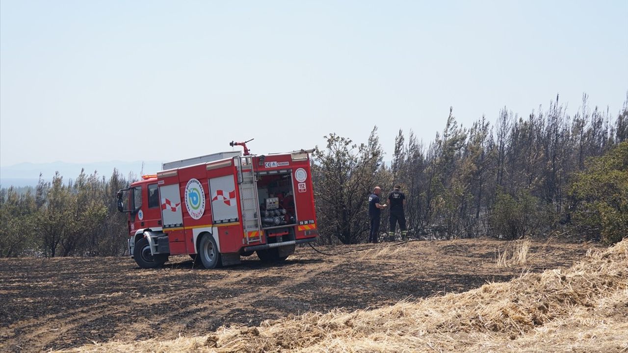Tekirdağ'da Orman Yangınına Hızla Müdahale Ediliyor