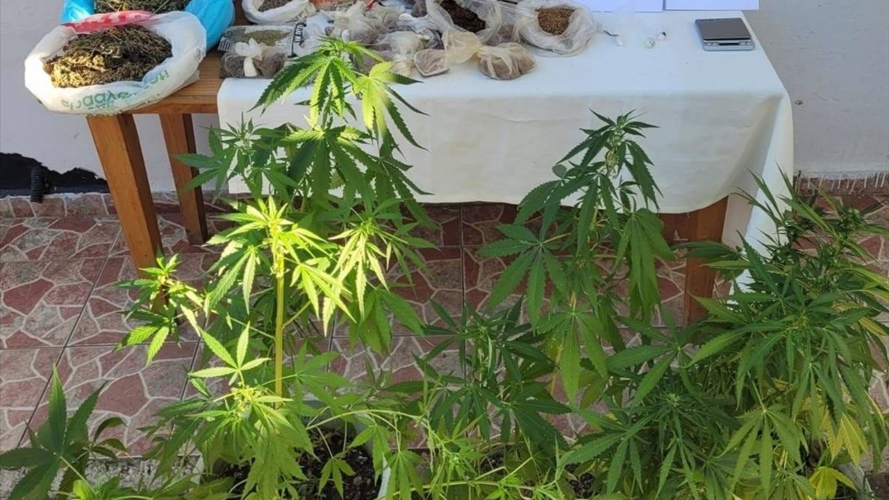 Tekirdağ'da Tarihi Eser Kaçakçılığına Operasyon: 432 Sikke ve Obje Ele Geçirildi