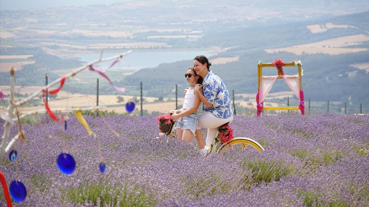 Tekirdağ'daki Lavanta Tarlaları Hafta Sonu Ziyaretçileri Ağırlıyor