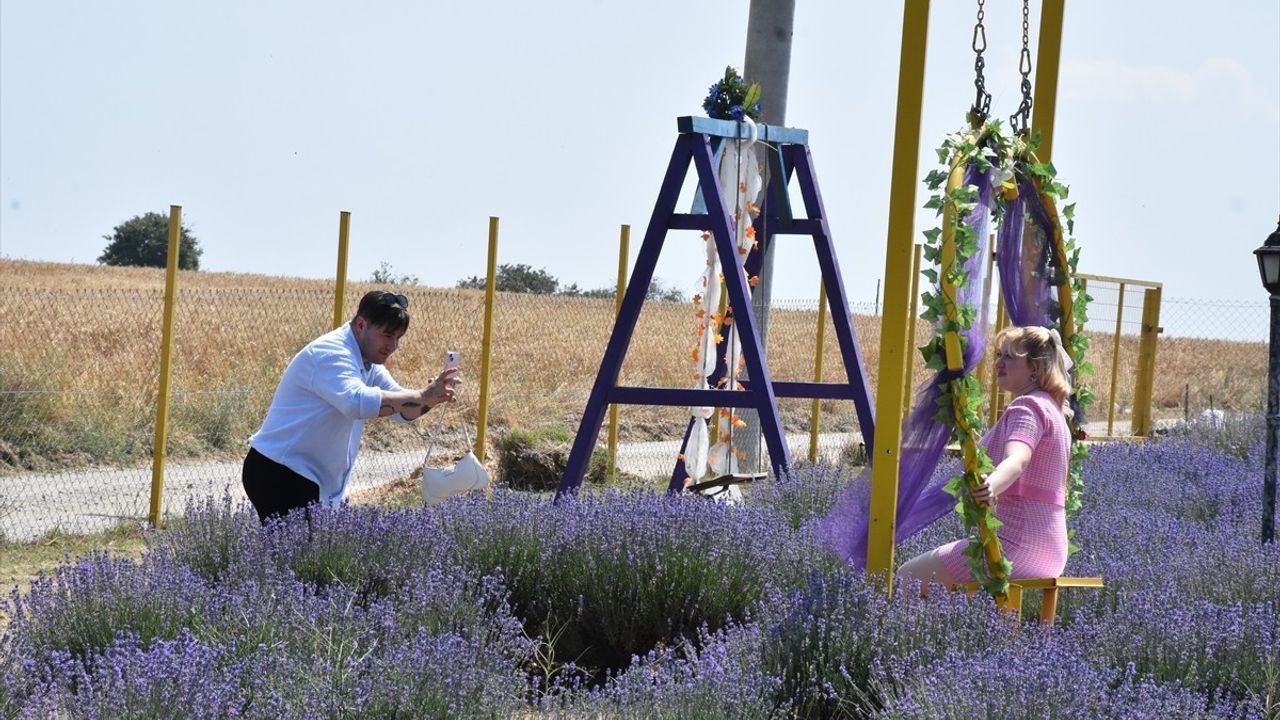 Tekirdağ'ın Lavanta Bahçeleri Fotoğraf Severleri Ağırlıyor