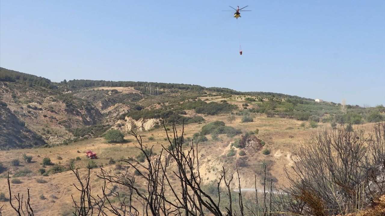 Tekirdağ'ın Şarköy İlçesinde Yangın Kontrole Alındı
