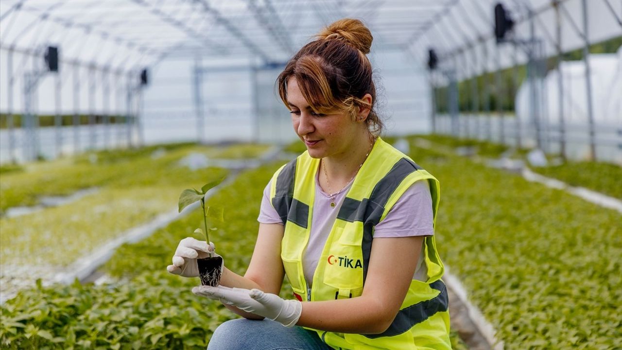 TİKA, Bosna Hersek'teki Tarımsal Üretimi Destekliyor
