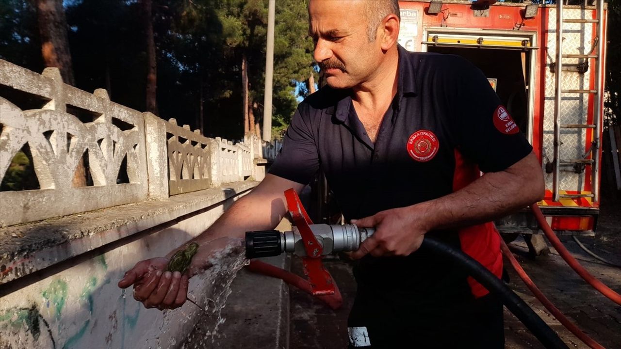 Tokat'ta Yangın: 3 Eve Zarar Verildi, Bir Muhabbet Kuşu Kurtarıldı
