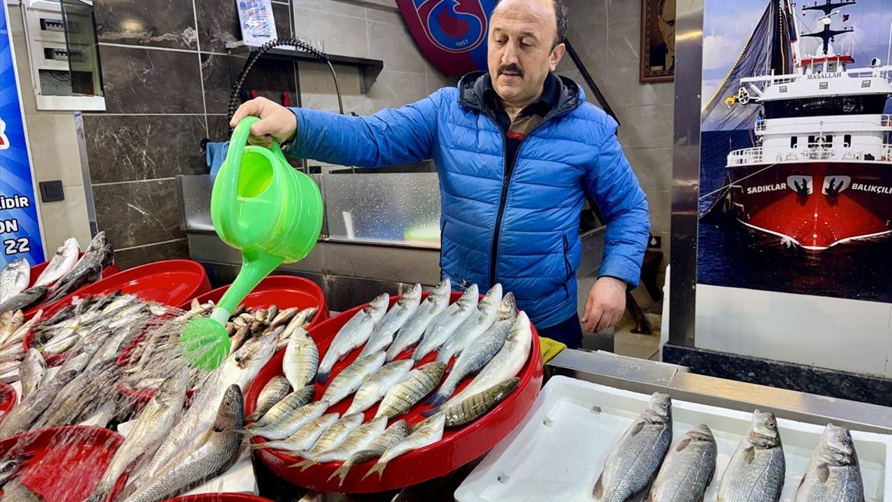 Trabzon'da Balıkçı Tezgahlarında Bol Çeşit ve Uygun Fiyatlar