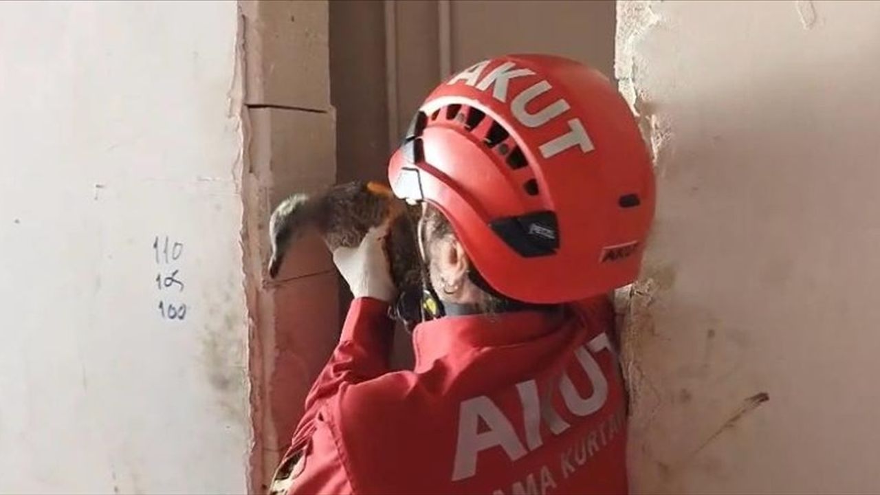 Trabzon'da mahsur kalan yaralı martı kurtarıldı