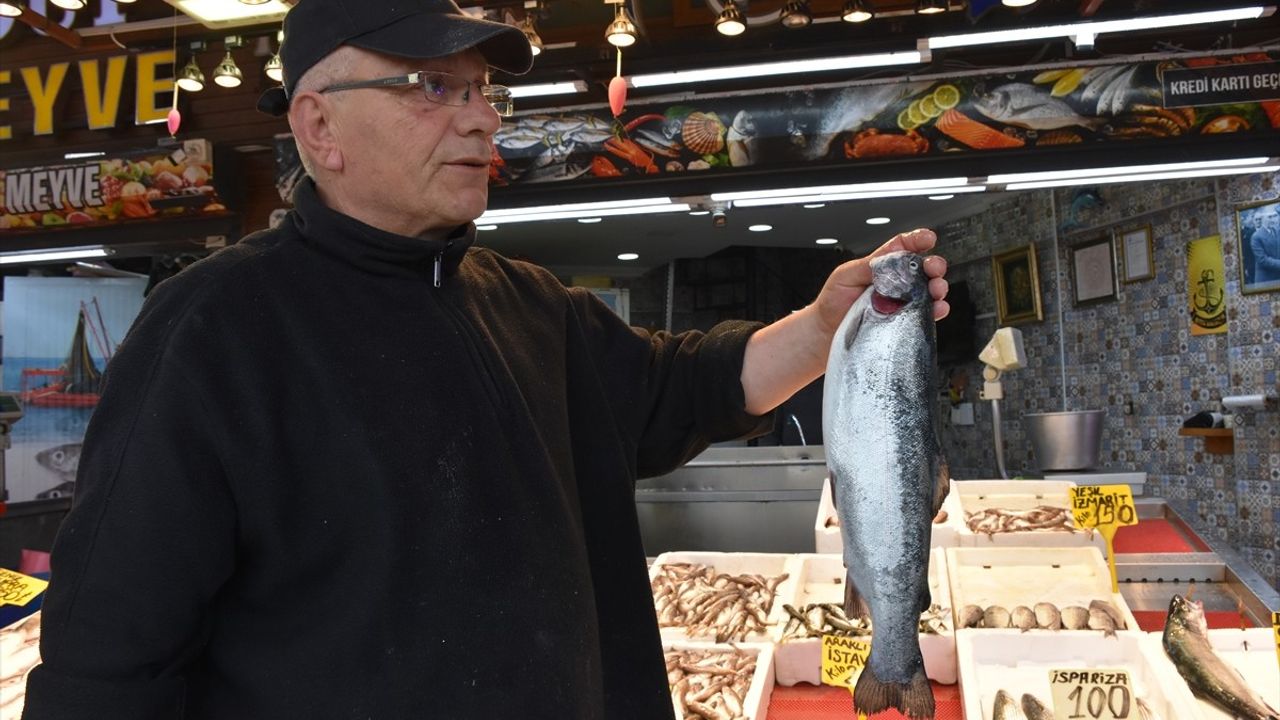 Trabzon'da Somon ve Alabalık Tezgahları Zenginleşiyor