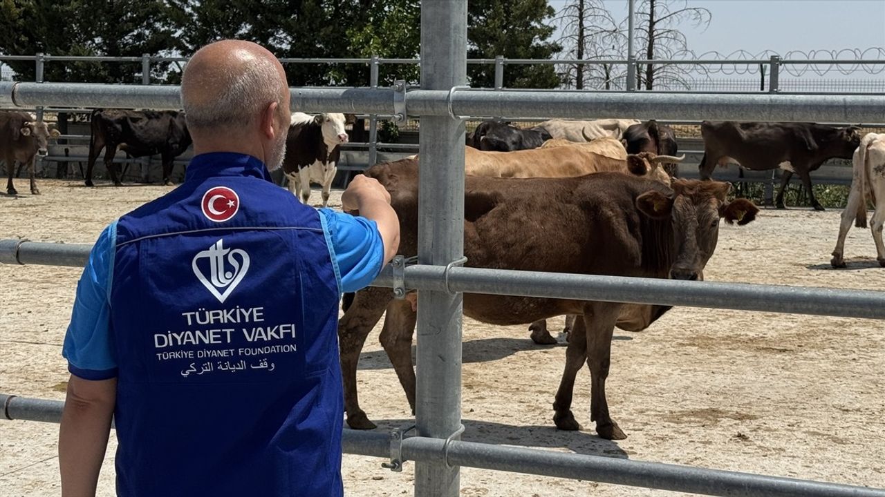 Türkiye Diyanet Vakfı, Konya'da 4 bin 25 Kurban Hissesini İhtiyaç Sahiplerine Ulaştıracak