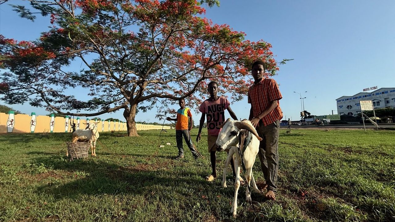 Türkiye Diyanet Vakfı, Togo'da 20 Bin Aileye Kurban Eti Dağıtacak