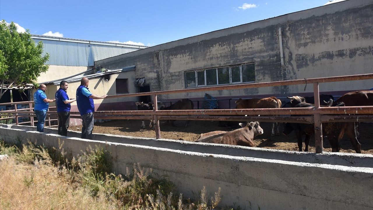 Türkiye Diyanet Vakfı, Van'da 6 bin 300 Hisse Kurban Eti Dağıtacak