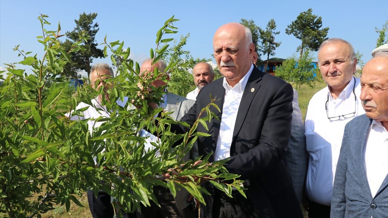 TZOB Genel Başkanı Bayraktar, Karabük'te Zirai Dondan Etkilenen Tarım Alanlarını İnceledi