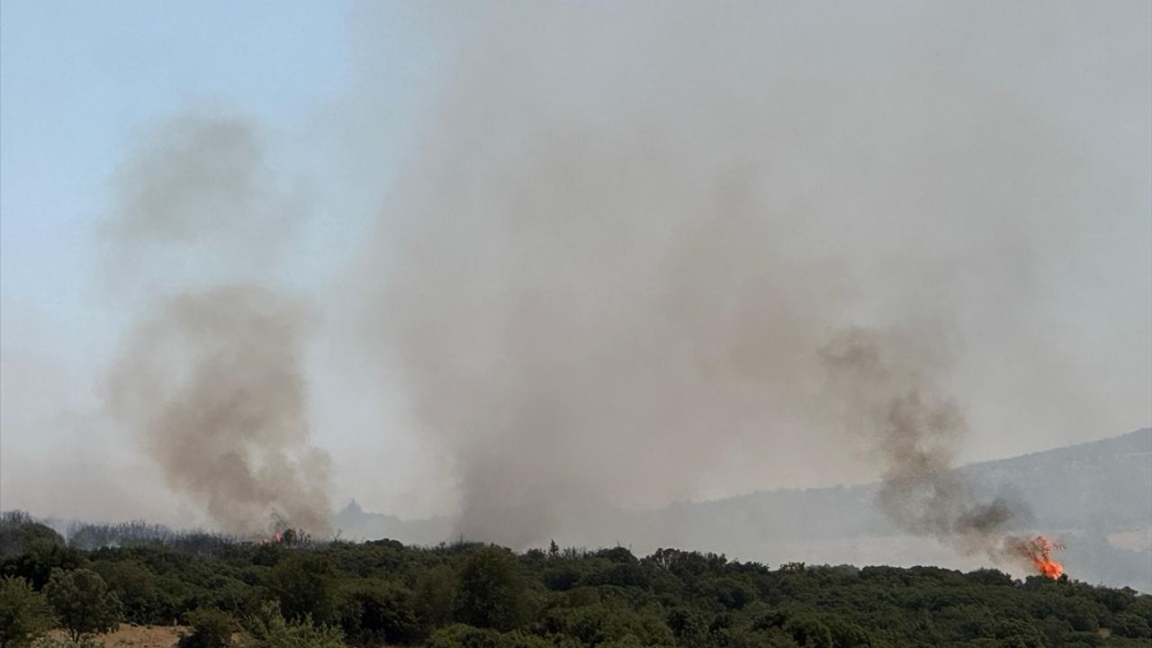 Uşak'ta Tarlada Başlayan Yangın Makilik Alana Sıçradı