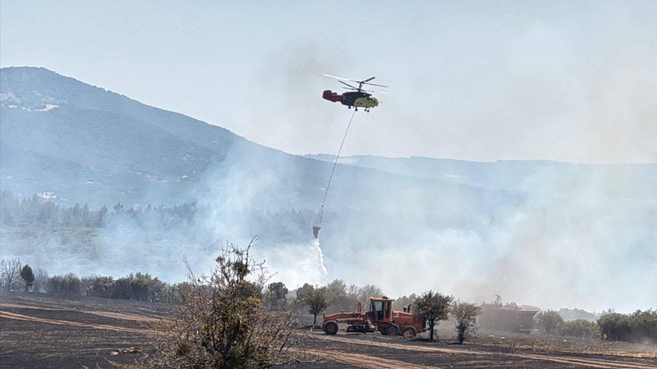 Uşak'taki Tarladan Makiliğe Sıçrayan Yangın Kontrol Altına Alındı