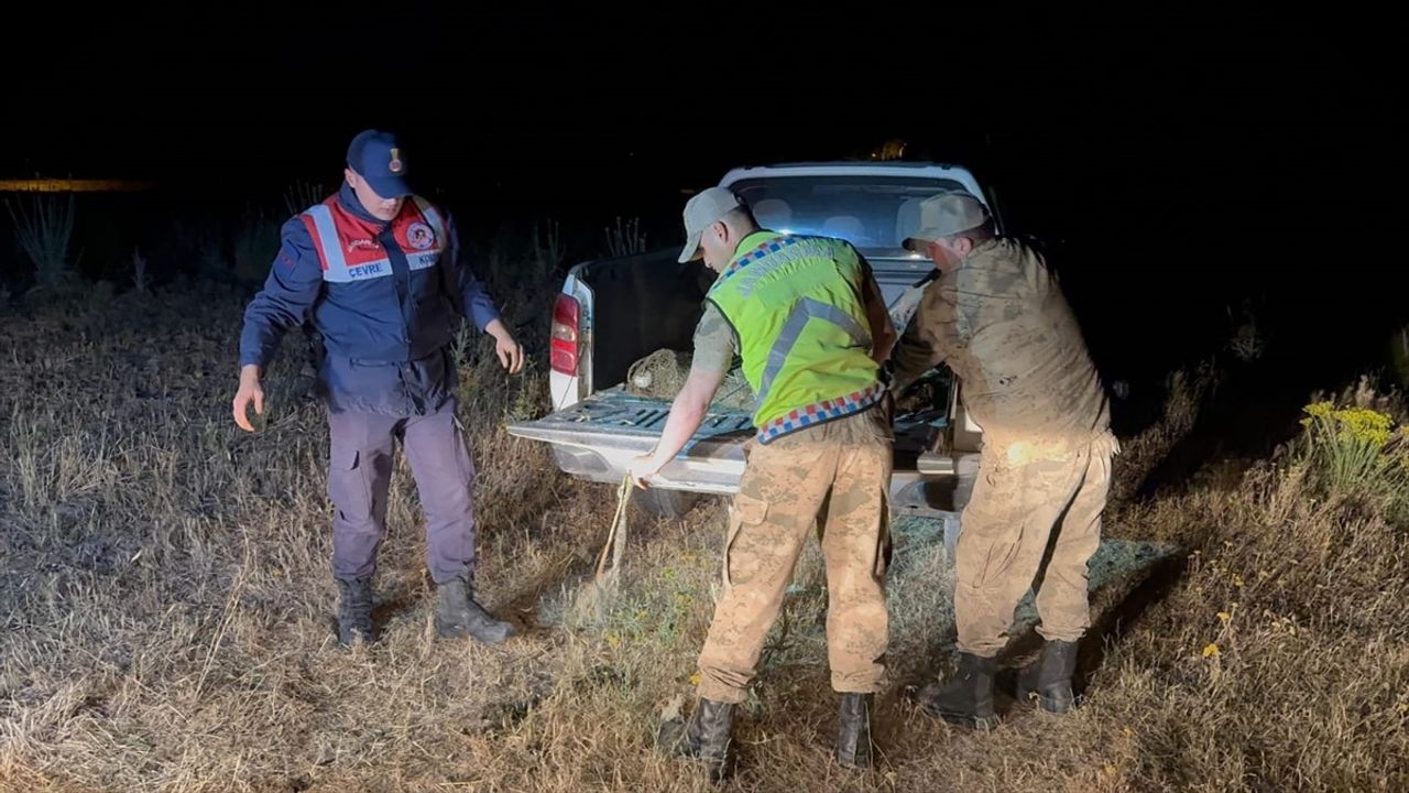 Van'da Kaçak Avlanan 1 Ton 500 Kilogram İci Kefali Suya Geri Bırakıldı