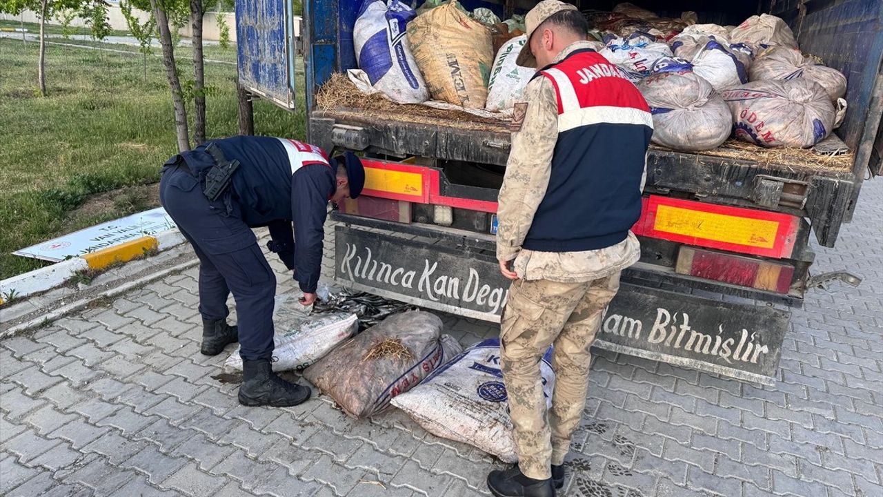 Van'da Kaçak Avlanan 19 Ton 200 Kilogram İci Kefali Ele Geçirildi