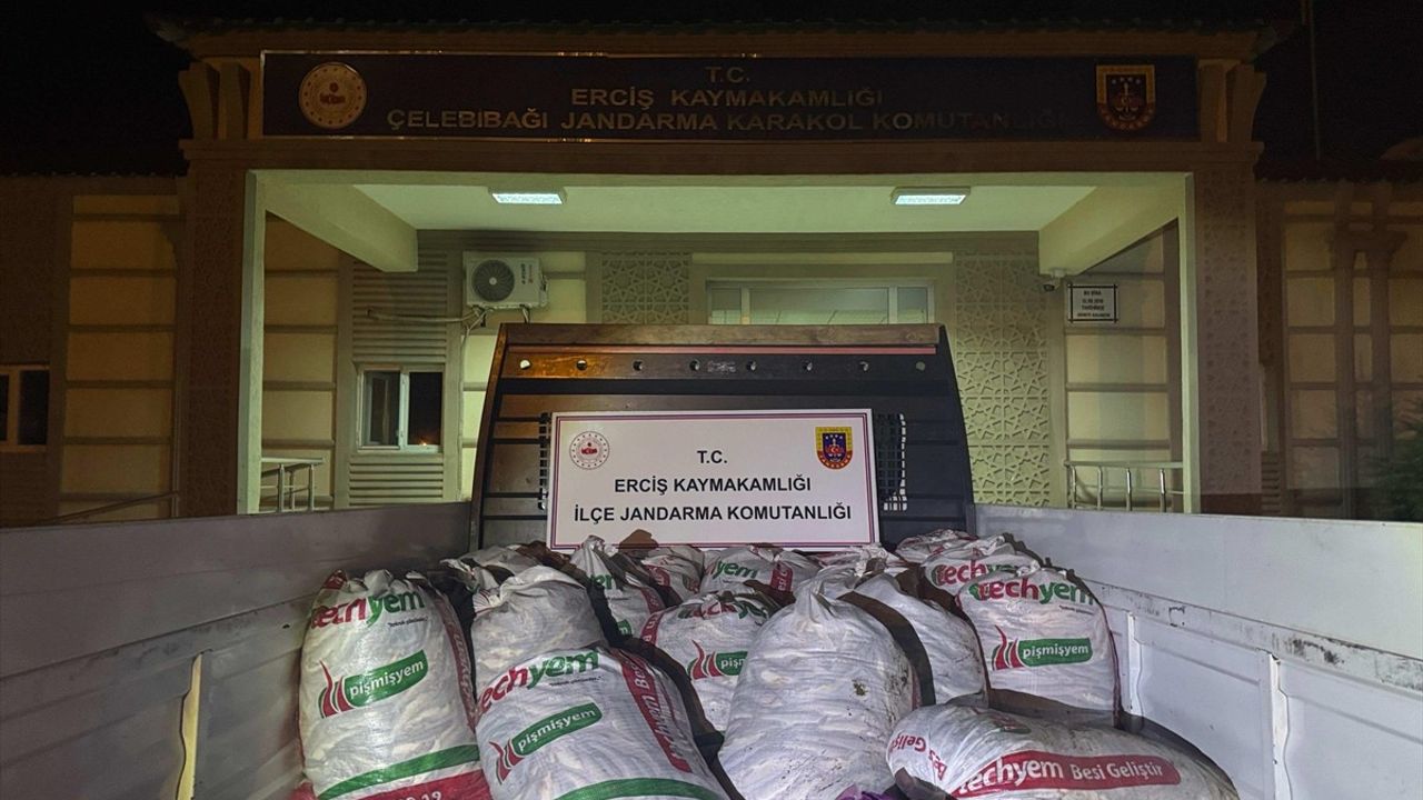 Van'da Kaçak Avlanan 2 Ton İncik Kefali Ele Geçirildi