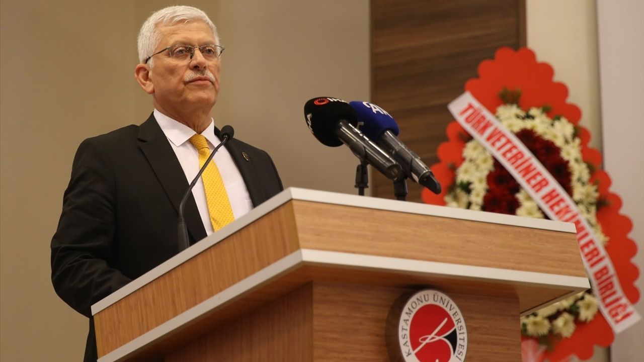 Veteriner Hekimler, Yangın Bölgesindeki Hayvanlar İçin Göreve Hazır