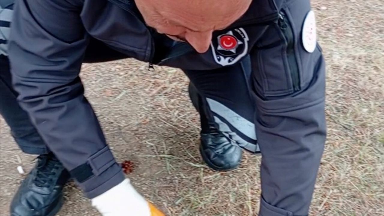 Yozgat'ta Güvenlik Görevlisi, Kafası Konserve Kutusuna Sıkışan Kediyi Kurtardı