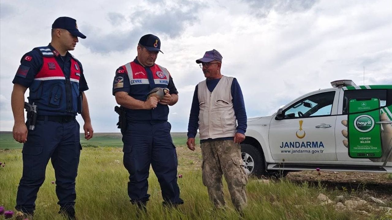 Yozgat'ta Yaralı Kınalı Keklik Tedavi Altına Alındı