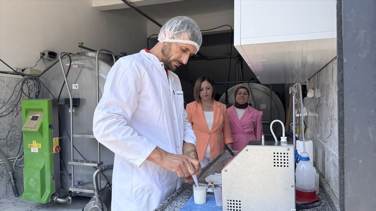 Zonguldak'ta Süt Toplama Kapasitesi TKDK Desteği ile Artırıldı