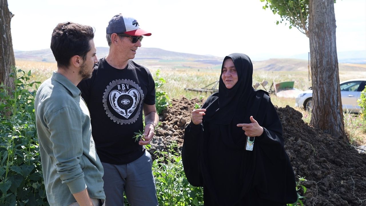 ABD'li Baharat Firması Yetkilileri, Bayburt'taki Tarhun Tarlalarını Ziyaret Etti