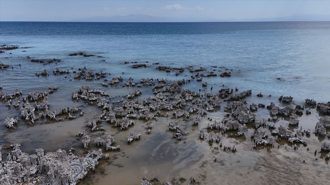 Adilcevaz'daki Dalgıçlar, Van Gölü'ndeki Mikrobiyalitleri Görüntüledi