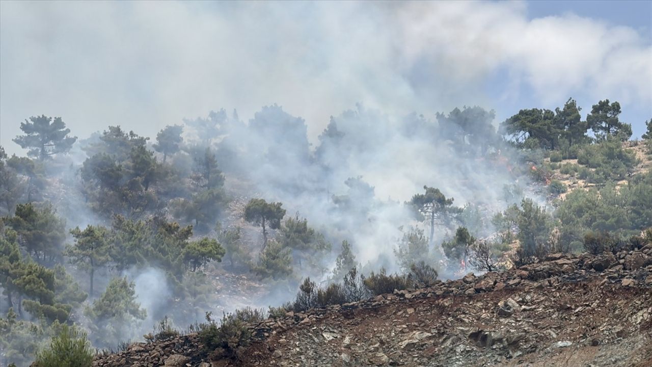 Adıyaman'da 200 Dönümlük Orman Yangını Kontrol Altına Alındı