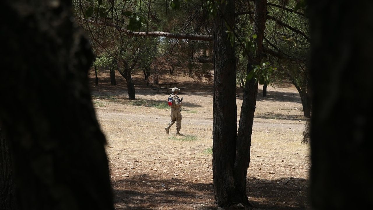 Adıyaman'da Jandarma, Orman Yangın Riskine Karşı Denetimlerini Artırdı