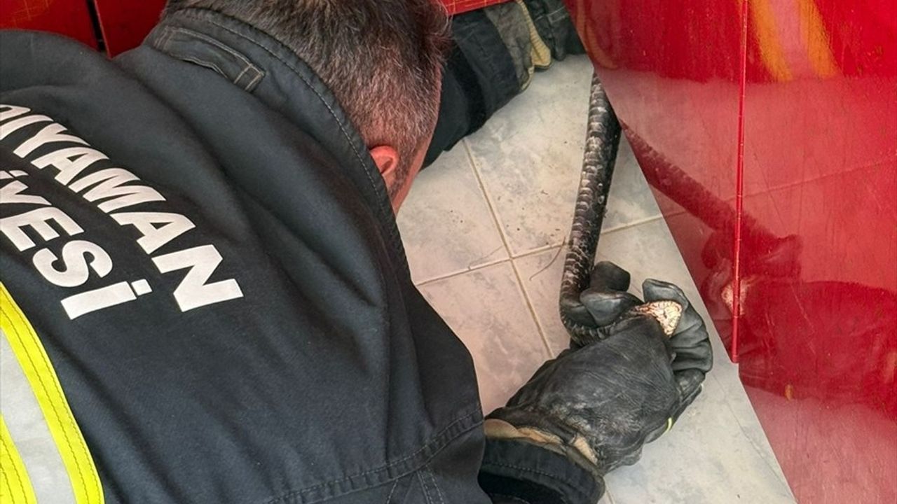 Adıyaman'da Mutfağa Giren Yılan İtfaiye Tarafından Yakalandı