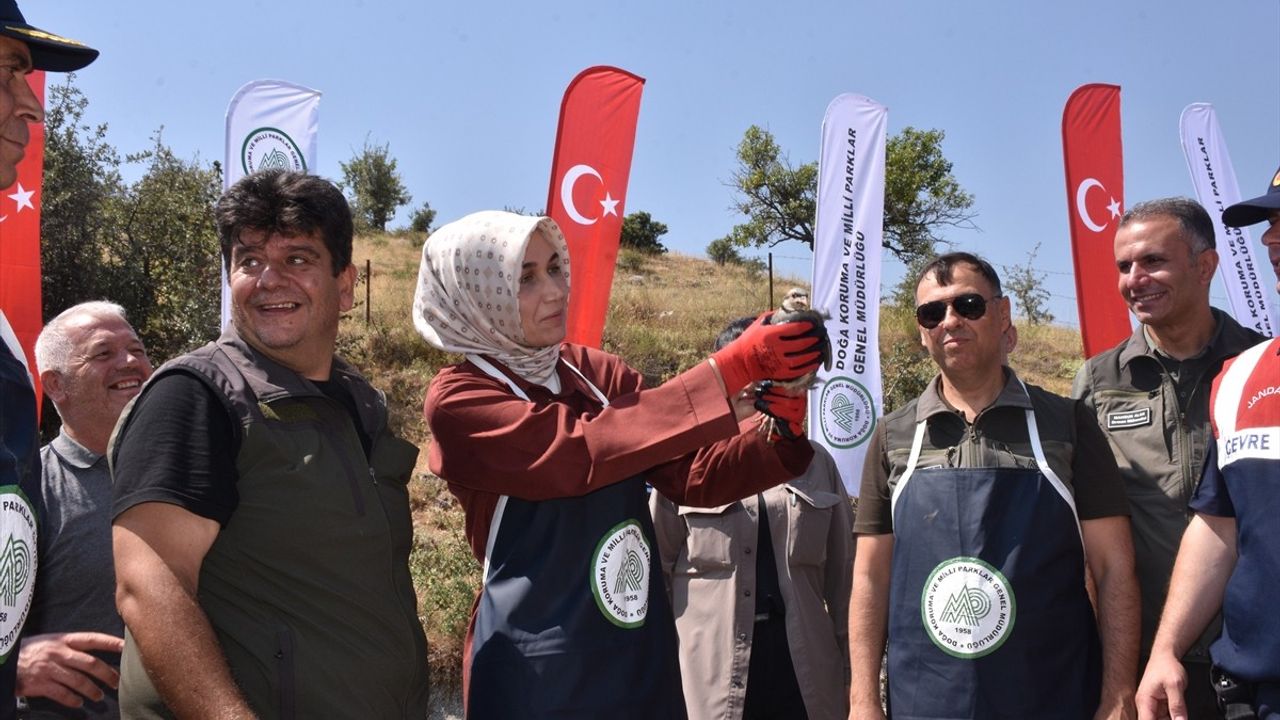 Afyonkarahisar'da 1000 Kınalı Keklik Doğaya Salındı