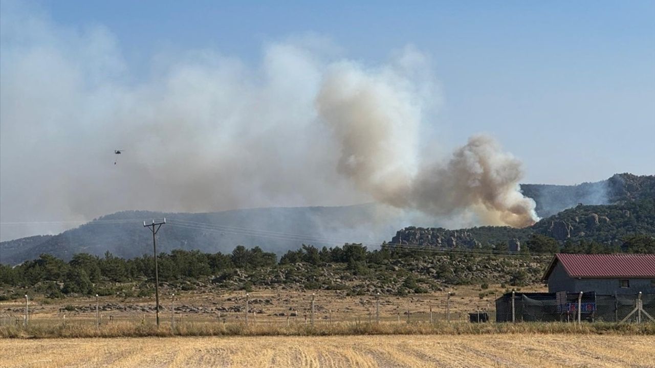 Afyonkarahisar'daki Orman Yangınına Hava ve Kara Müdahalesi