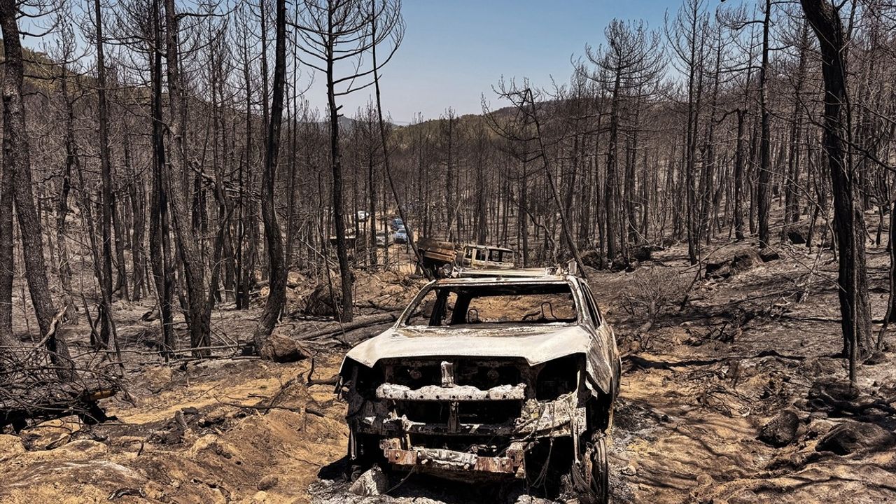 Afyonkarahisar'daki Orman Yangınının Yarattığı Tahribat Görüntülendi