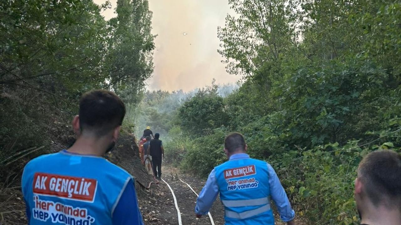 AK Parti Gençlik Kolları Başkanı İbiş: "Yeşil Vatanımızı Koruma Mücadelesindeyiz"