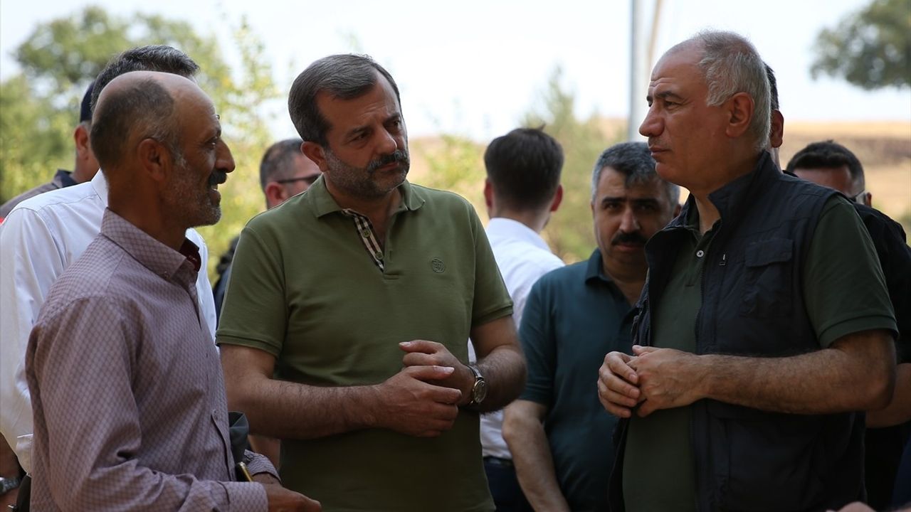 AK Parti Genel Başkanvekili Ala, Bursa'da Orman Yangını Bölgesini Ziyaret Etti