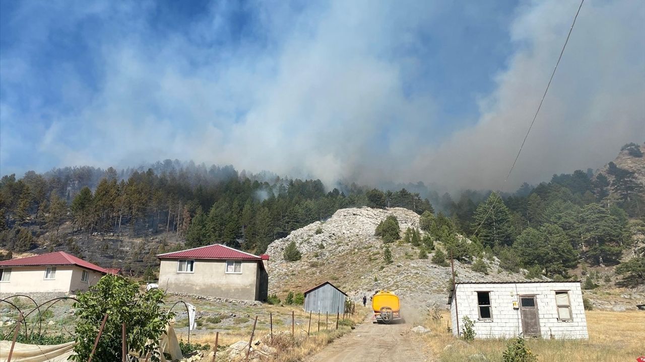 Alanya'da Ormanlık Alanda Yangın Çıktı
