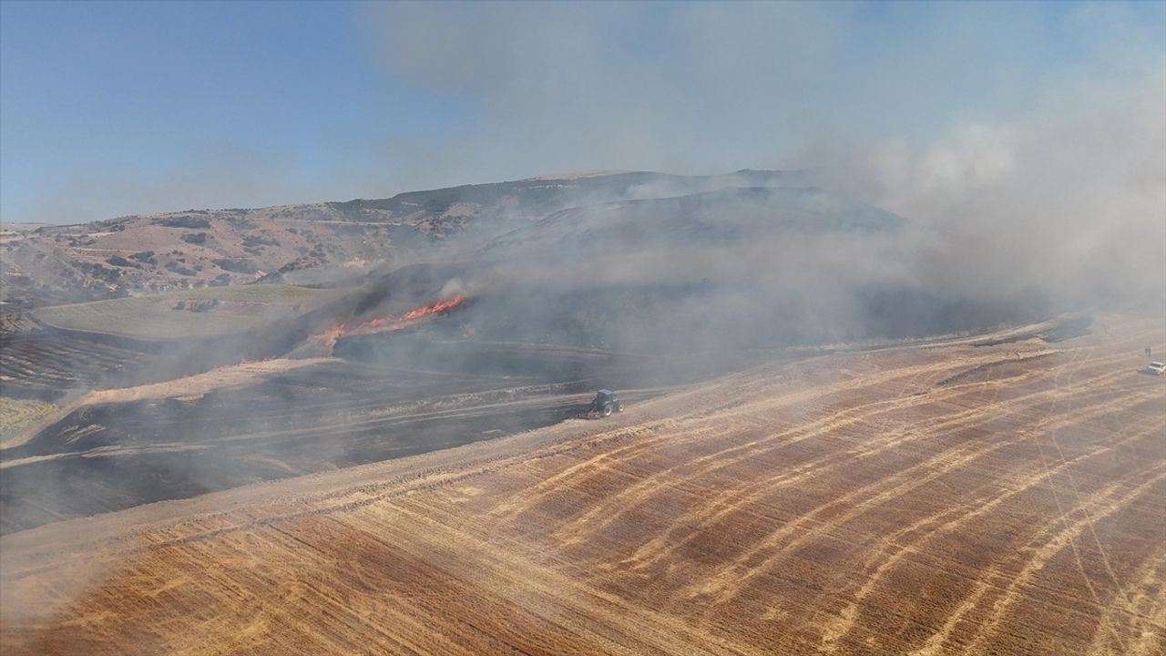 Amasya'da Tarım Arazisindeki Yangın Kontrol Altına Alındı