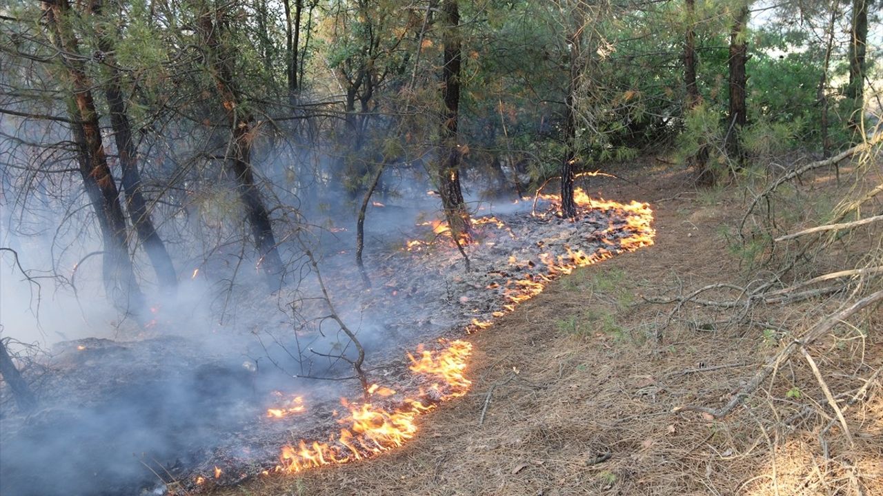 Amasya'daki Orman Yangını Kontrol Altına Alındı