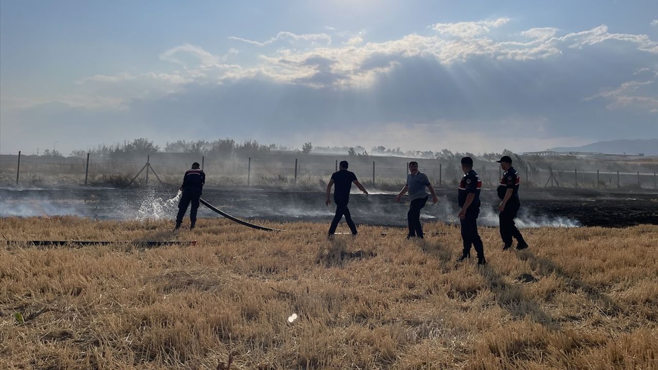 Amasya Merzifon'da Tarım Arazisinde Yangın: 250 Dönüm Zarar Gördü