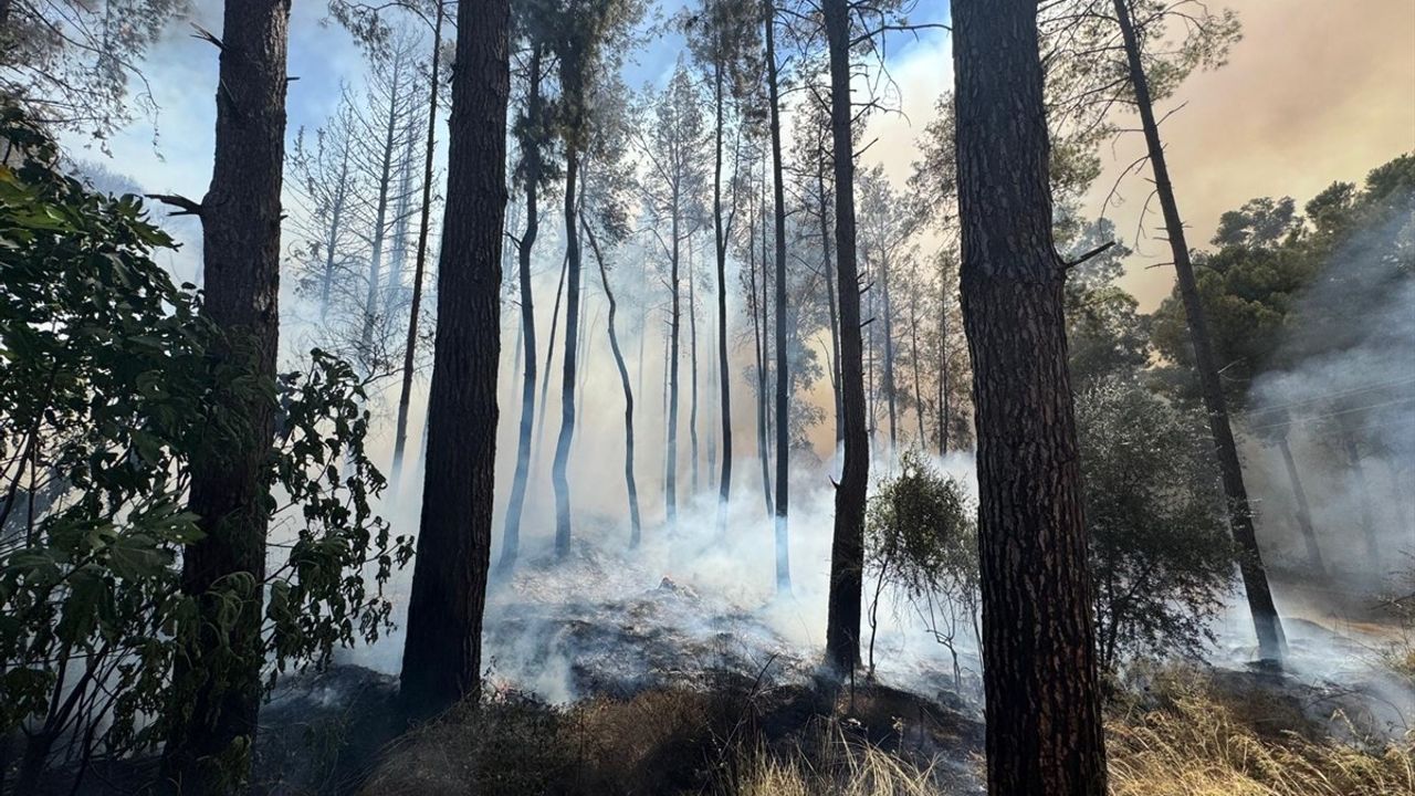 Antalya Aksu’da Orman Yangınına Müdahale Devam Ediyor