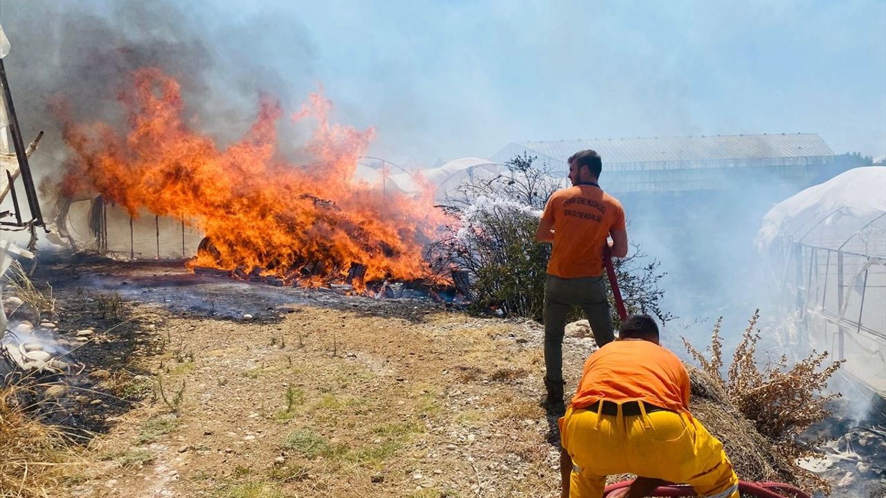 Antalya'da Çalılık Alanda Yangın, Seralara Zarar Verdi