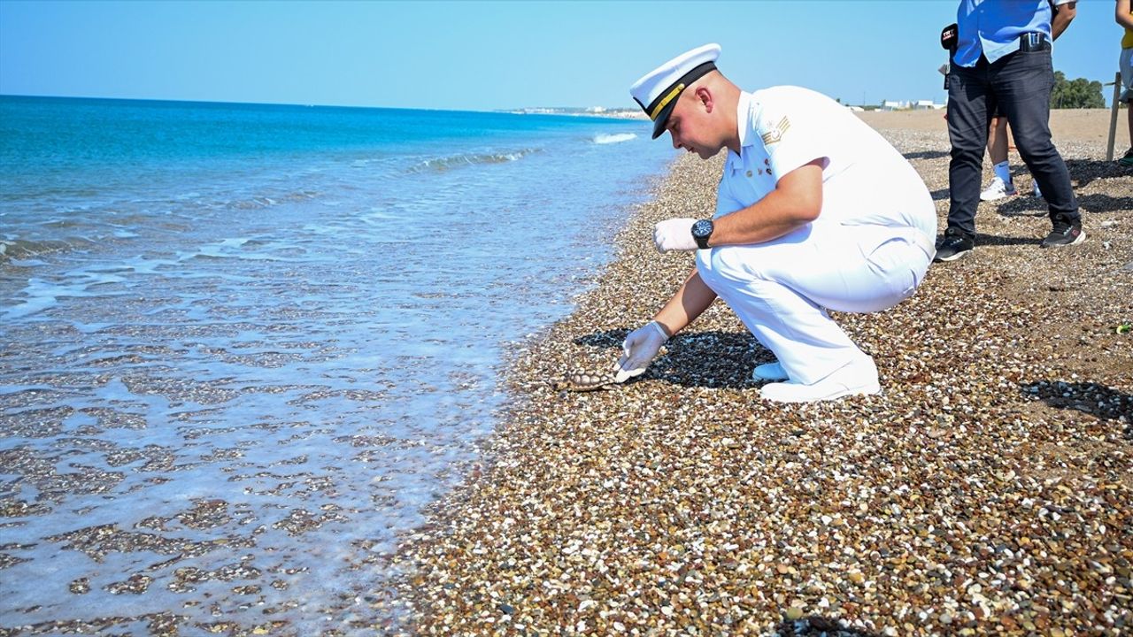 Antalya'da Çuvala Dolanan Caretta Caretta Yavrusunun Tedavisi Tamamlandı