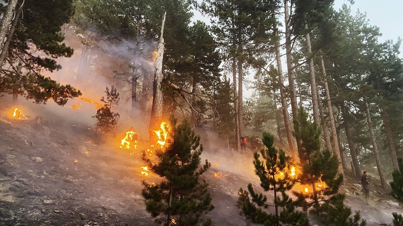 Antalya'daki Orman Yangınlarına Müdahale Devam Ediyor
