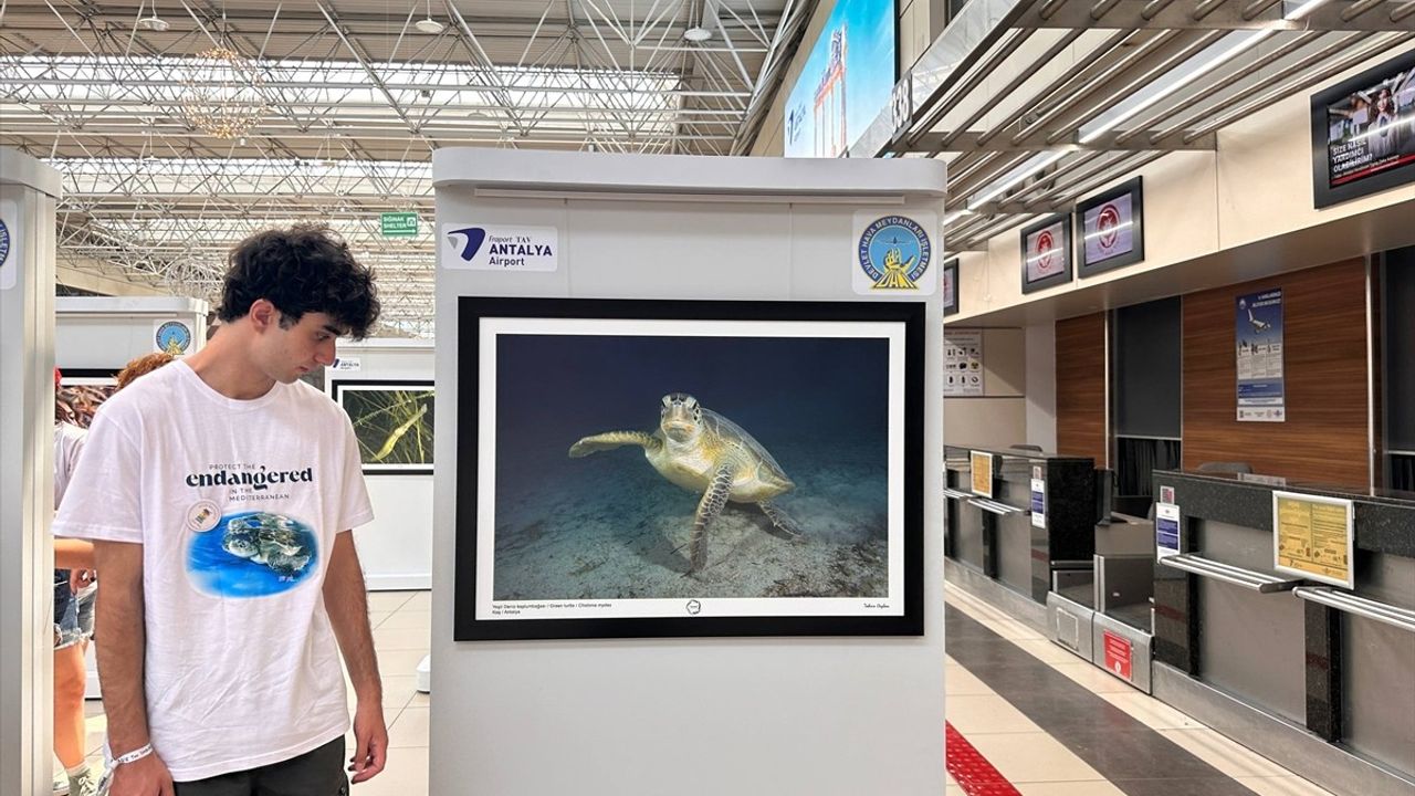 Antalya Havalimanı'nda 'Akdeniz'de Nesli Tehlike Altında Olan Türler' Fotoğraf Sergisi Açıldı