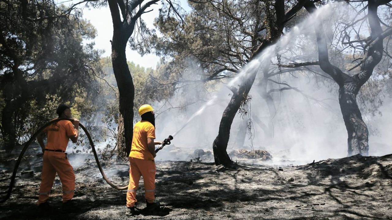 Antalya Muratpaşa'da Orman Yangını Çıktı