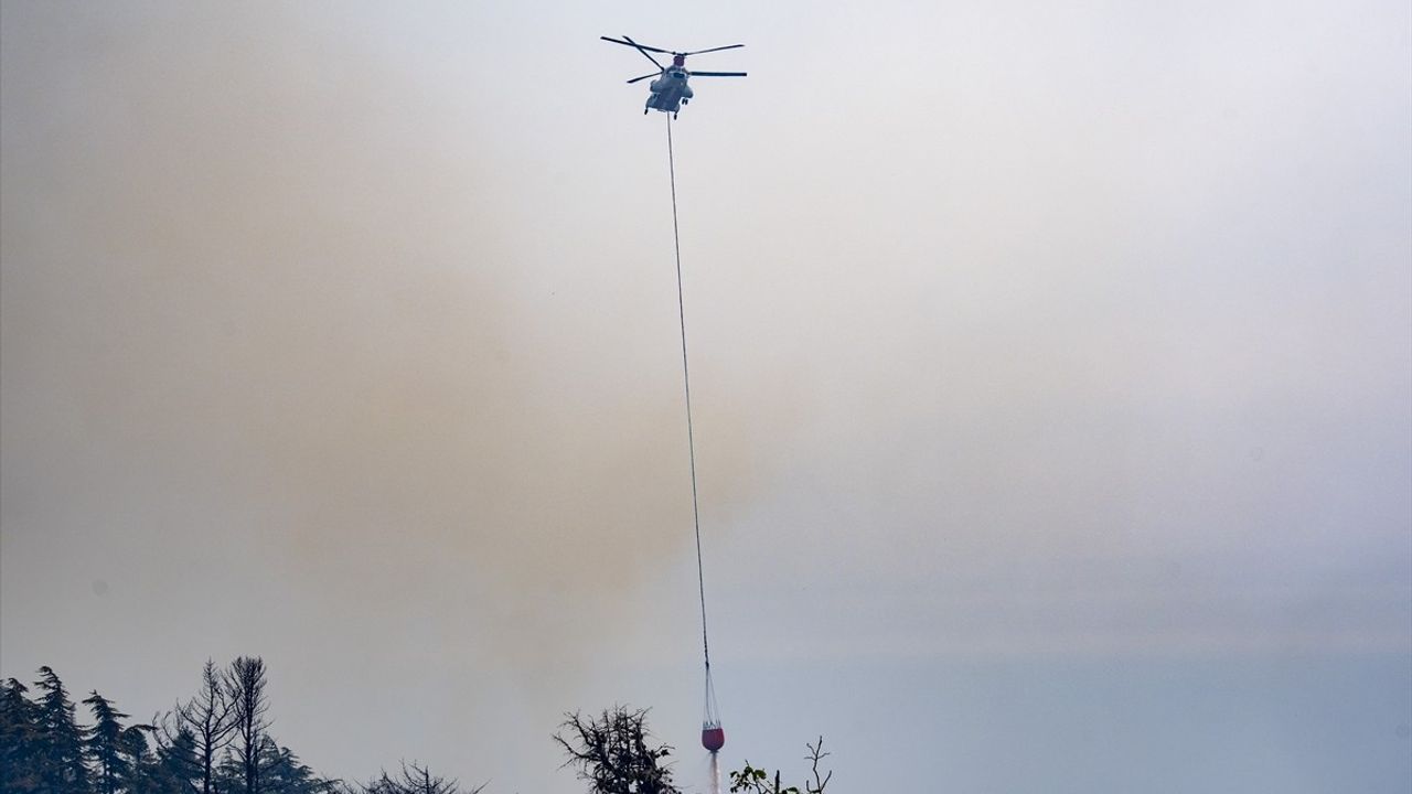 Antalya'nın Alanya İlçesindeki Orman Yangını Kontrol Altında, Gazipaşa'daki Müdahaleler Devam Ediyor